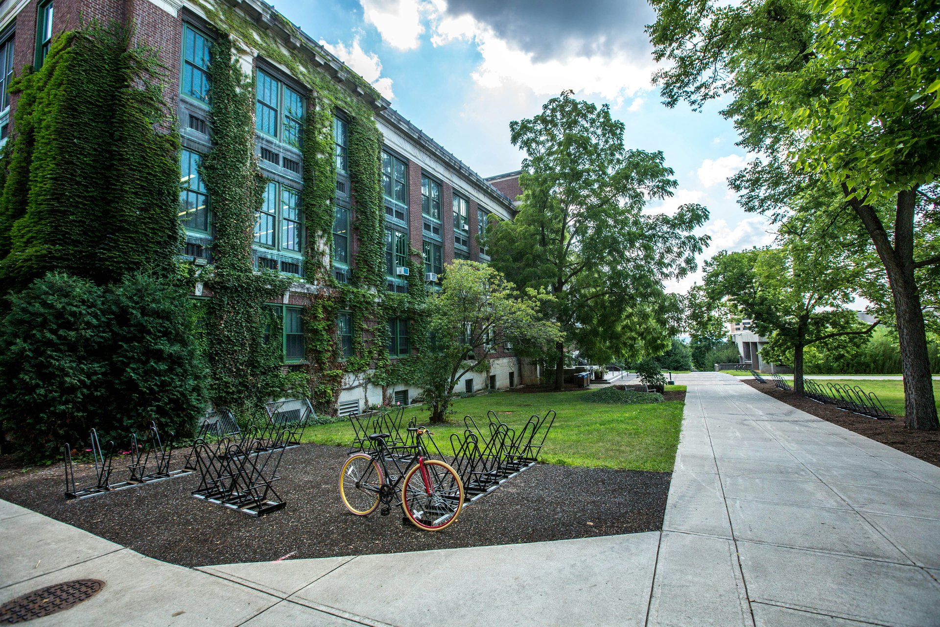 Bike rack outside a school building